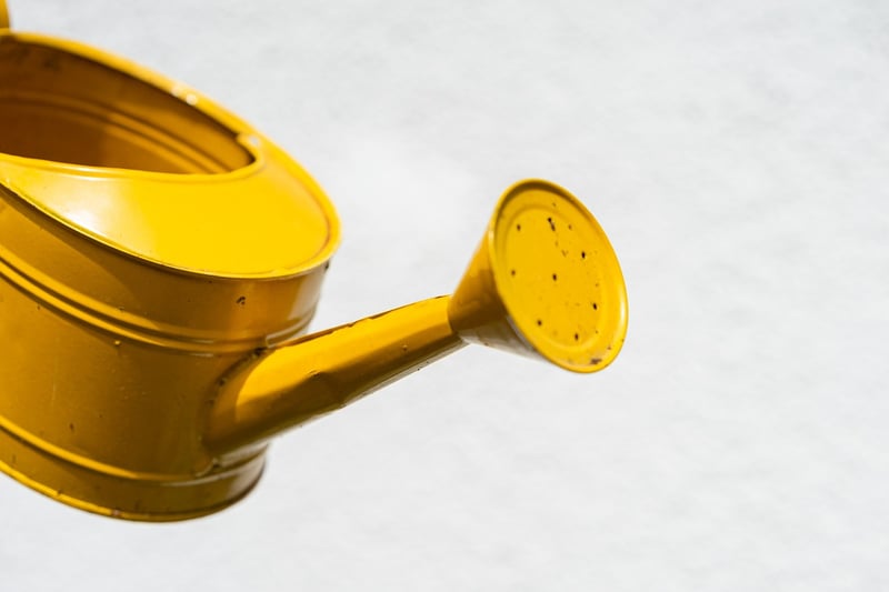 Enchanted Watering Can